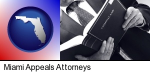 Miami, Florida - an attorney reading a criminal law book
